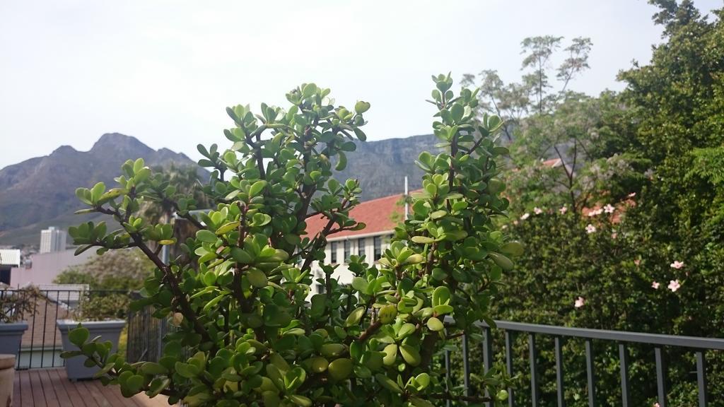 The Parkhouse Otel Cape Town Oda fotoğraf